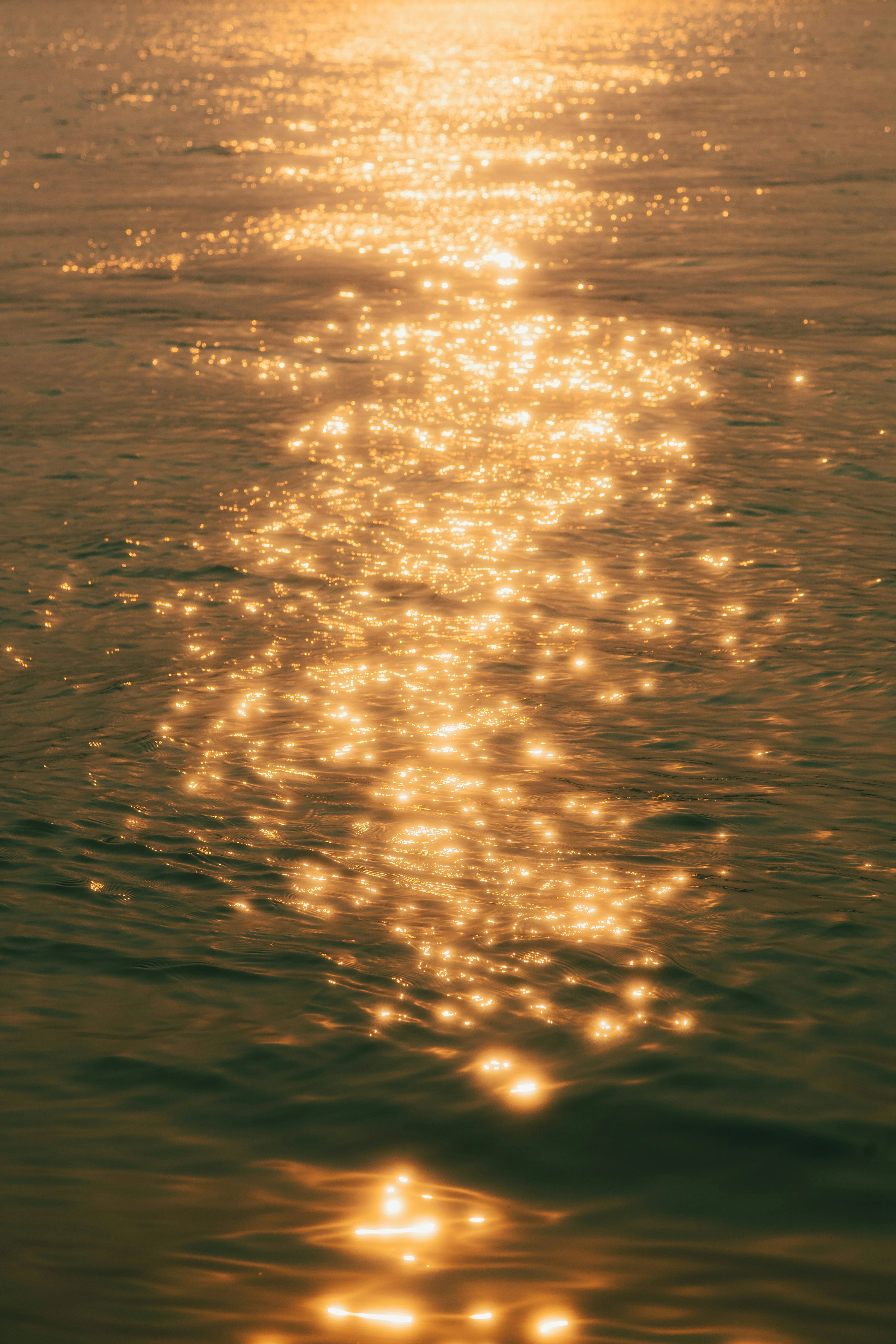 Glowing golden reflection on water surface, sea-kissed