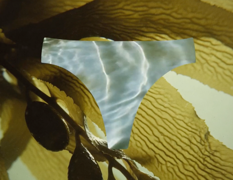 What Is SeaCell™ Fabric? The Science Behind Seaweed-Infused Underwear