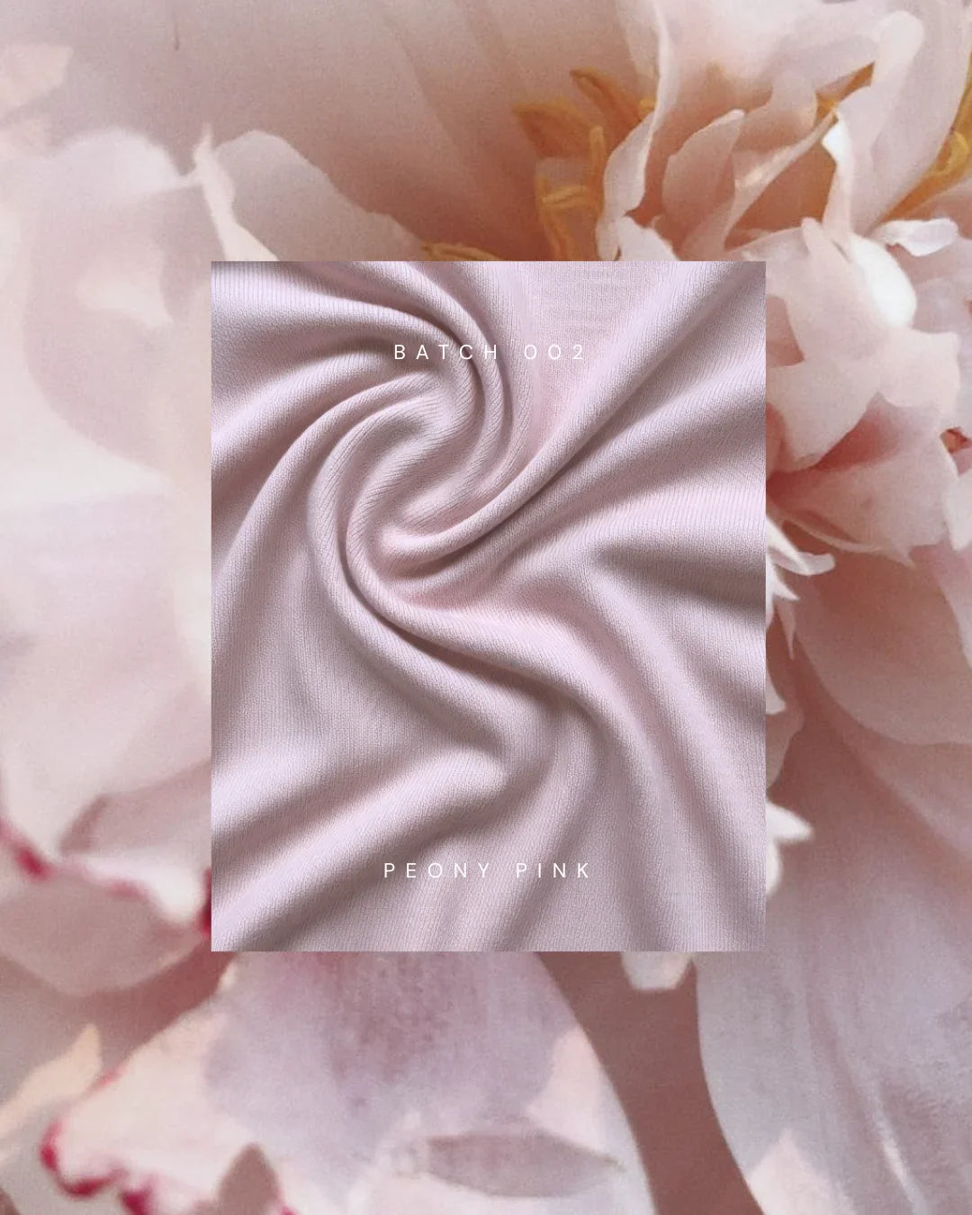 Peony Pink