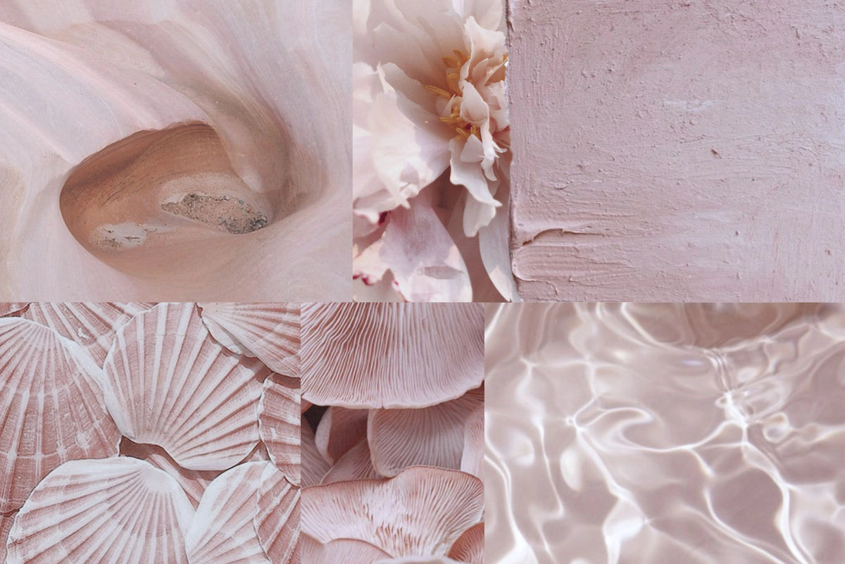 Kiseau Peony Pink colour story, delicate, airy blush, sustainable women's underwear