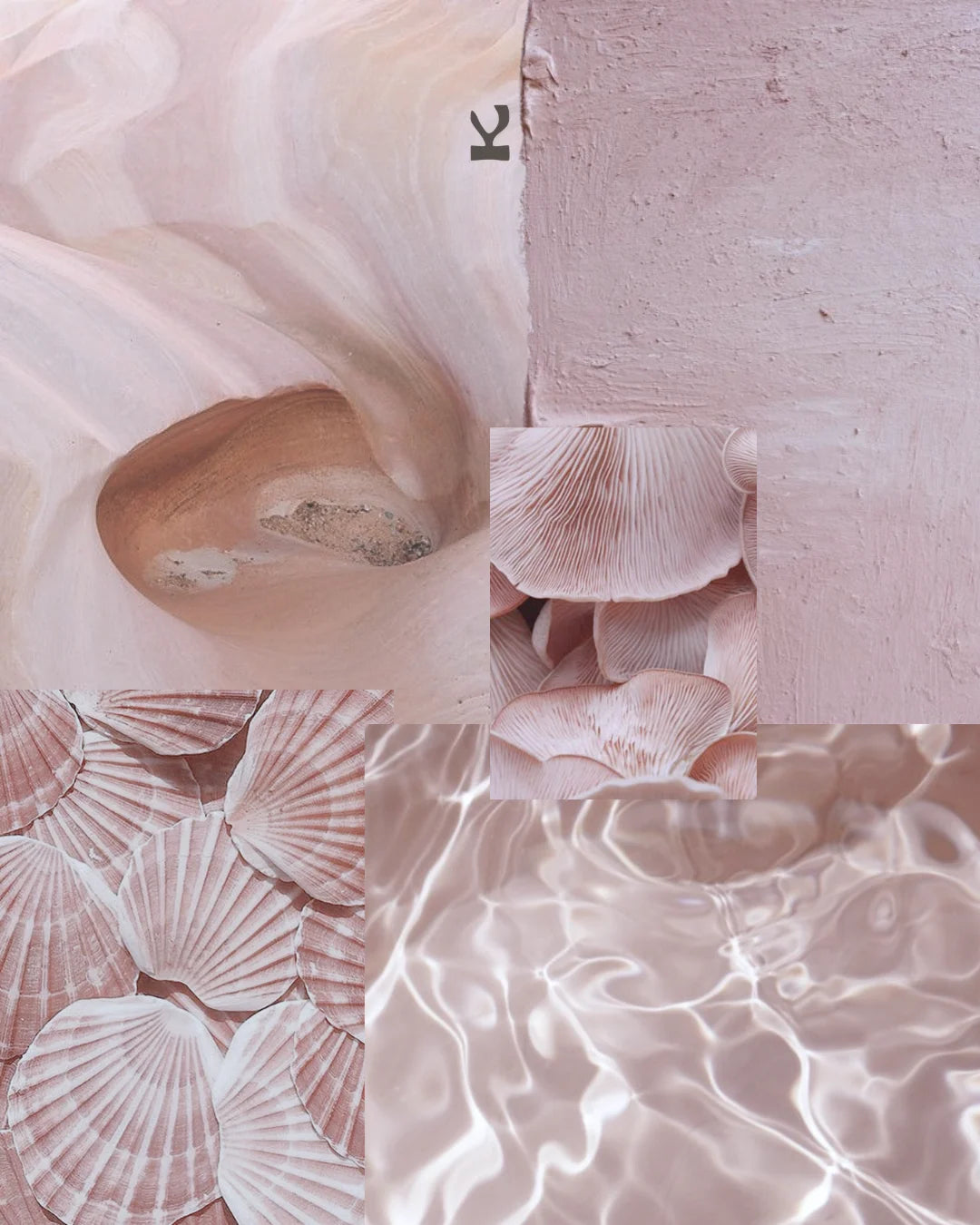Kiseau Peony Pink colour story — delicate, airy blush, sustainable women's underwear
