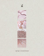 Kiseau Peony Pink — spring in muted bloom, Icelandic seaweed-infused organic cotton women's underwear