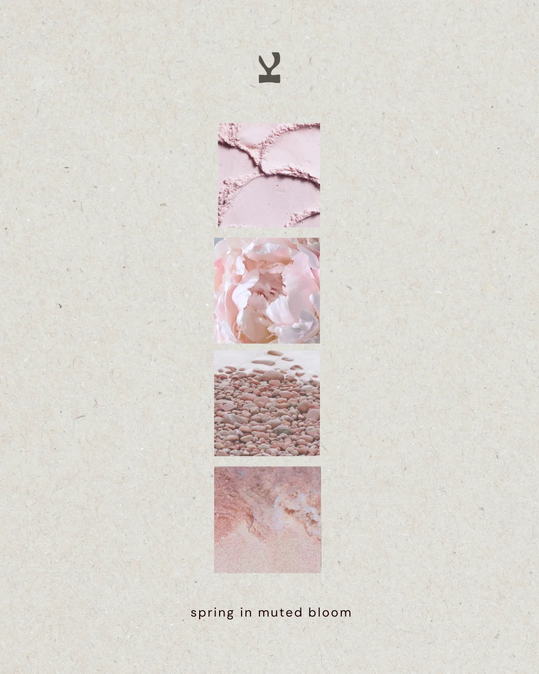 Kiseau Peony Pink — spring in muted bloom, Icelandic seaweed-infused organic cotton women's underwear