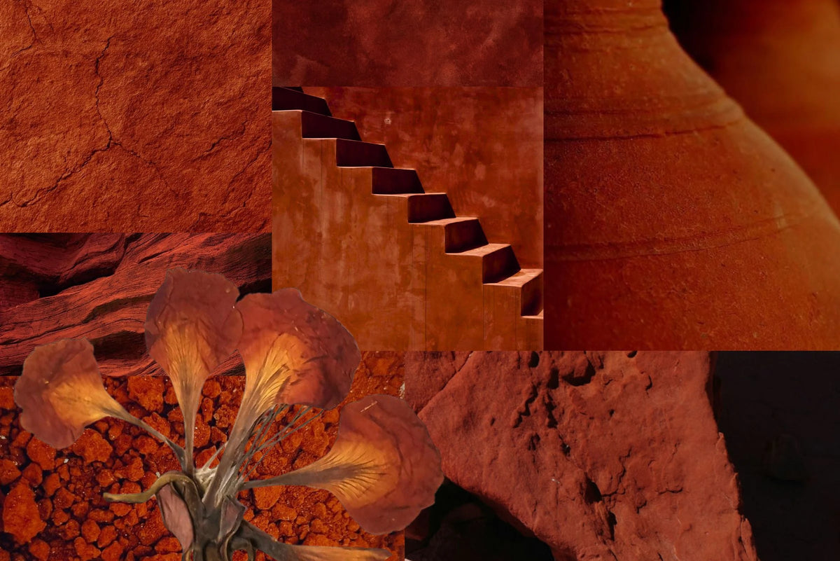 Kiseau Terra Cotta colour story, warm, sultry earth tones, sustainable women's underwear