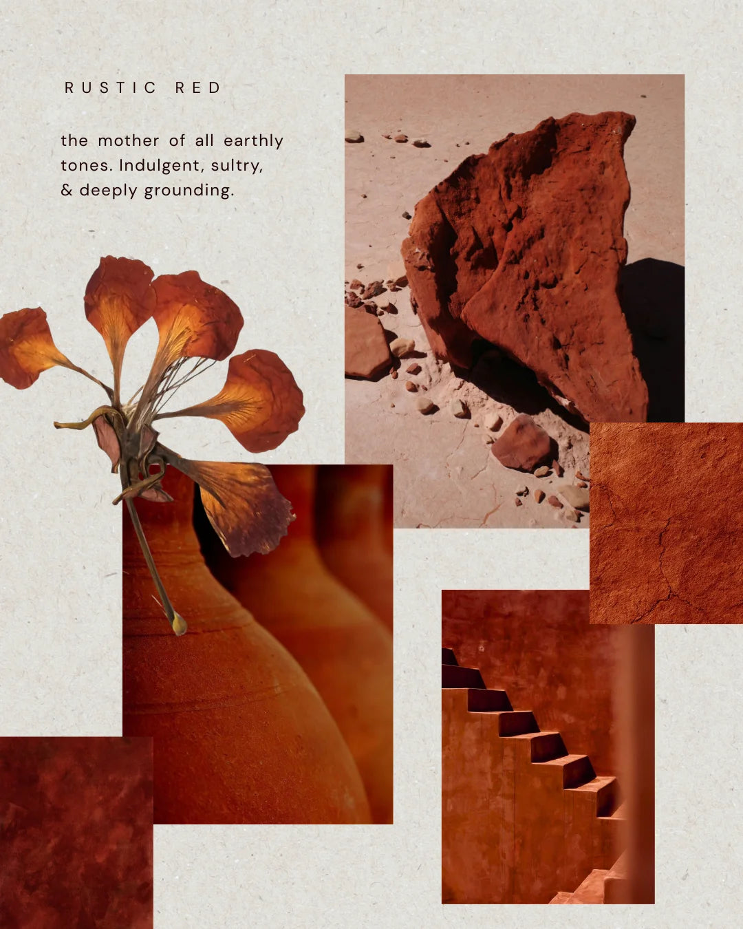 Kiseau Terra Cotta mood — fertile, earthy warmth, Icelandic seaweed-infused organic cotton lingerie