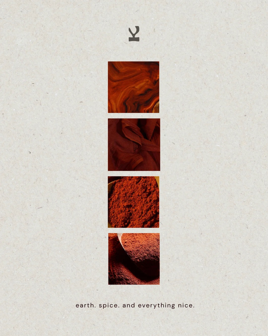 Kiseau Terra Cotta — earth, spice, Icelandic seaweed-infused organic cotton women's underwear
